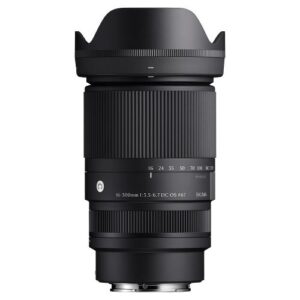 16-300mm F3.5-6.7 DC OS | Contemporary